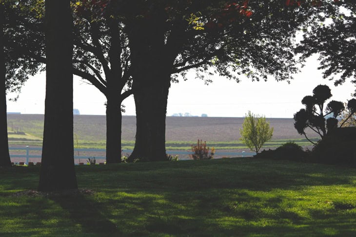 Silhouette of trees in yard with flowerbeds planted with shrubs showing the fields in the background.