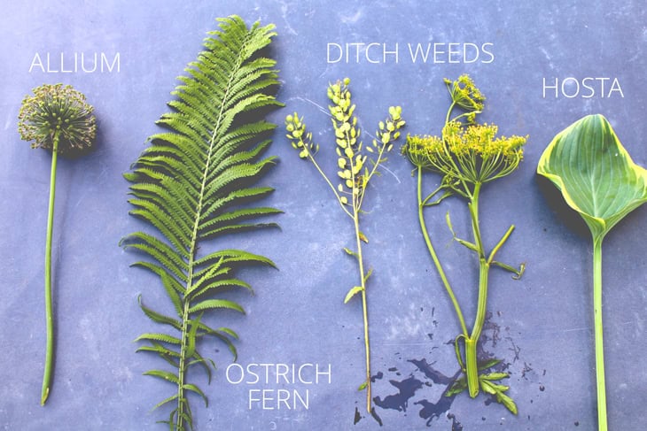 Slate surface with lots of greens including ferns, weeds, and hosta all laid out with labels.