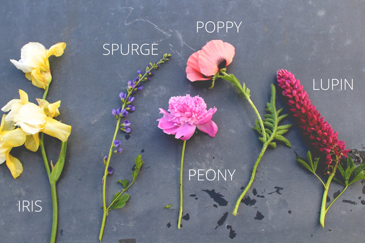 Large piece of slate with lots of bright colorful flowers including spurge, poppy, peony, iris, and more.