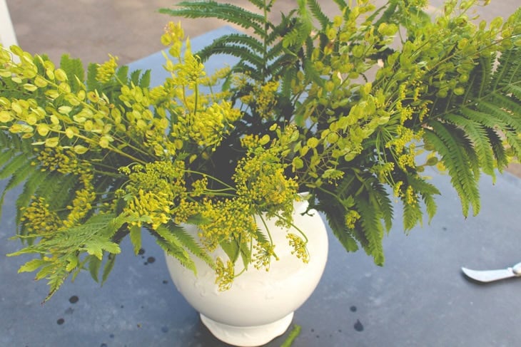 Ironstone pitcher filled with a combination of greens including ferns and other leafy greens forming the base of a flower arrangement.
