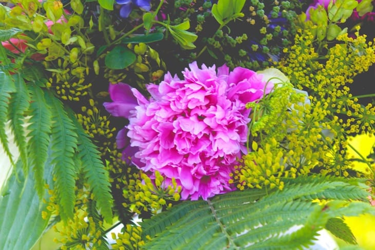 Bright purple flower surrounded by greenery with lots of texture all for a summer floral arrangement.