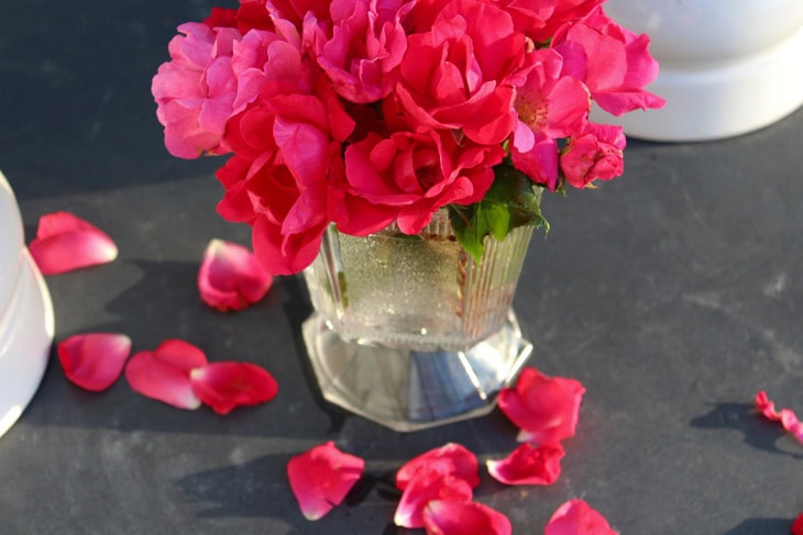 Pink Knock Out Rose bush blooms sitting in a glass vase with some petals falling onto the slate table below.