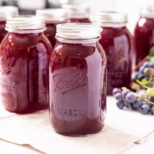 Canned Grape Juice Concentrate Wyse Guide