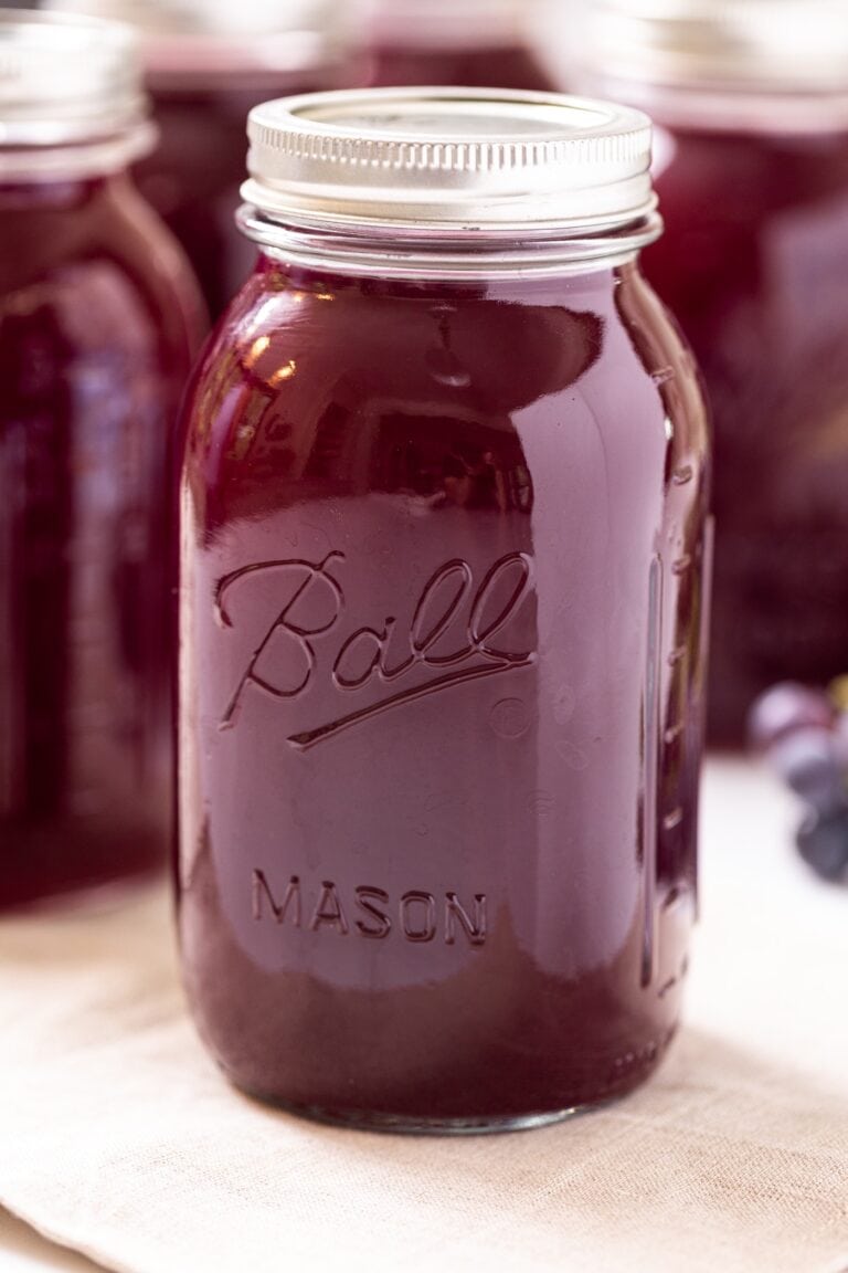 Canned Grape Juice Concentrate Wyse Guide