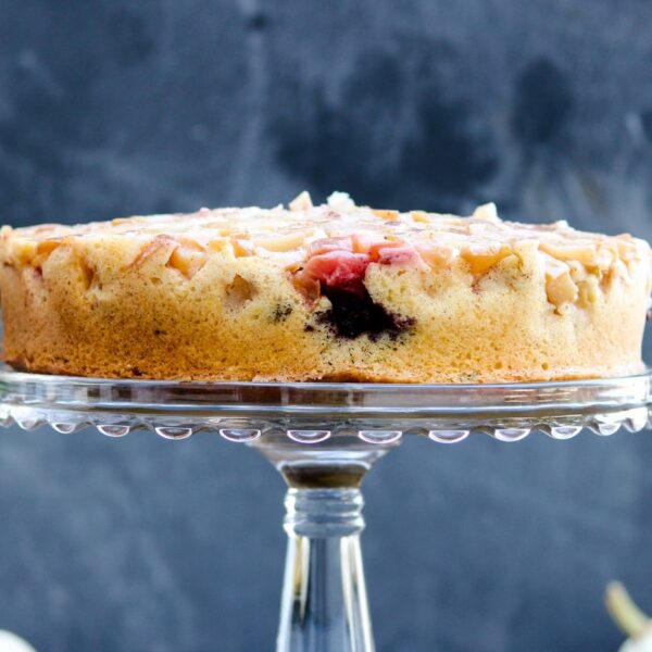Harvest apple cake with bits of apple and blackberry dotting cake on cake stand with pumpkins and dark gray slate background