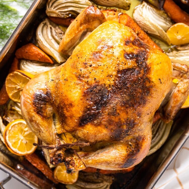 The Best Roast Chicken Wyse Guide
