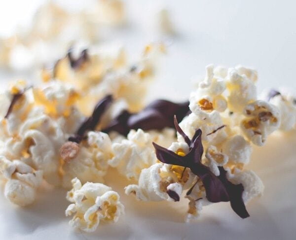 Kernels of popcorn sitting on white surface covered with chocolate