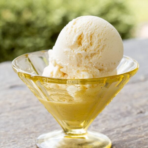 A scoop of vanilla ice cream in a dish.