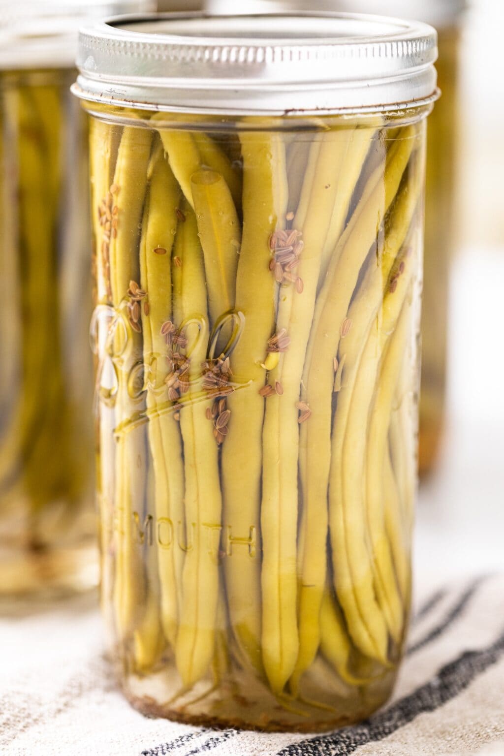 How to Can Dilly Beans Wyse Guide