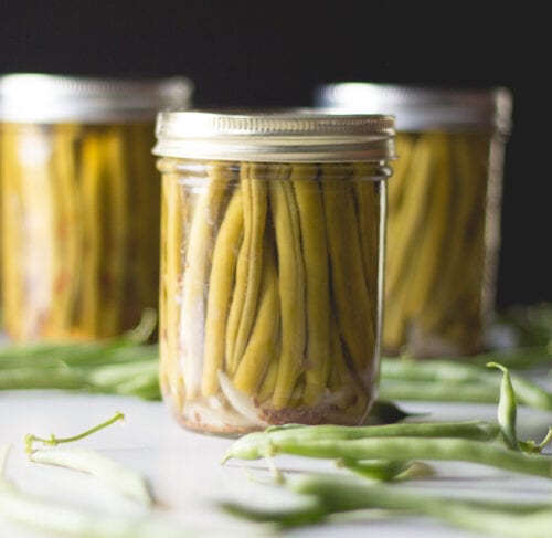 How To Can Dilly Beans Wyse Guide How To Can Dilly Beans Wyse Guide