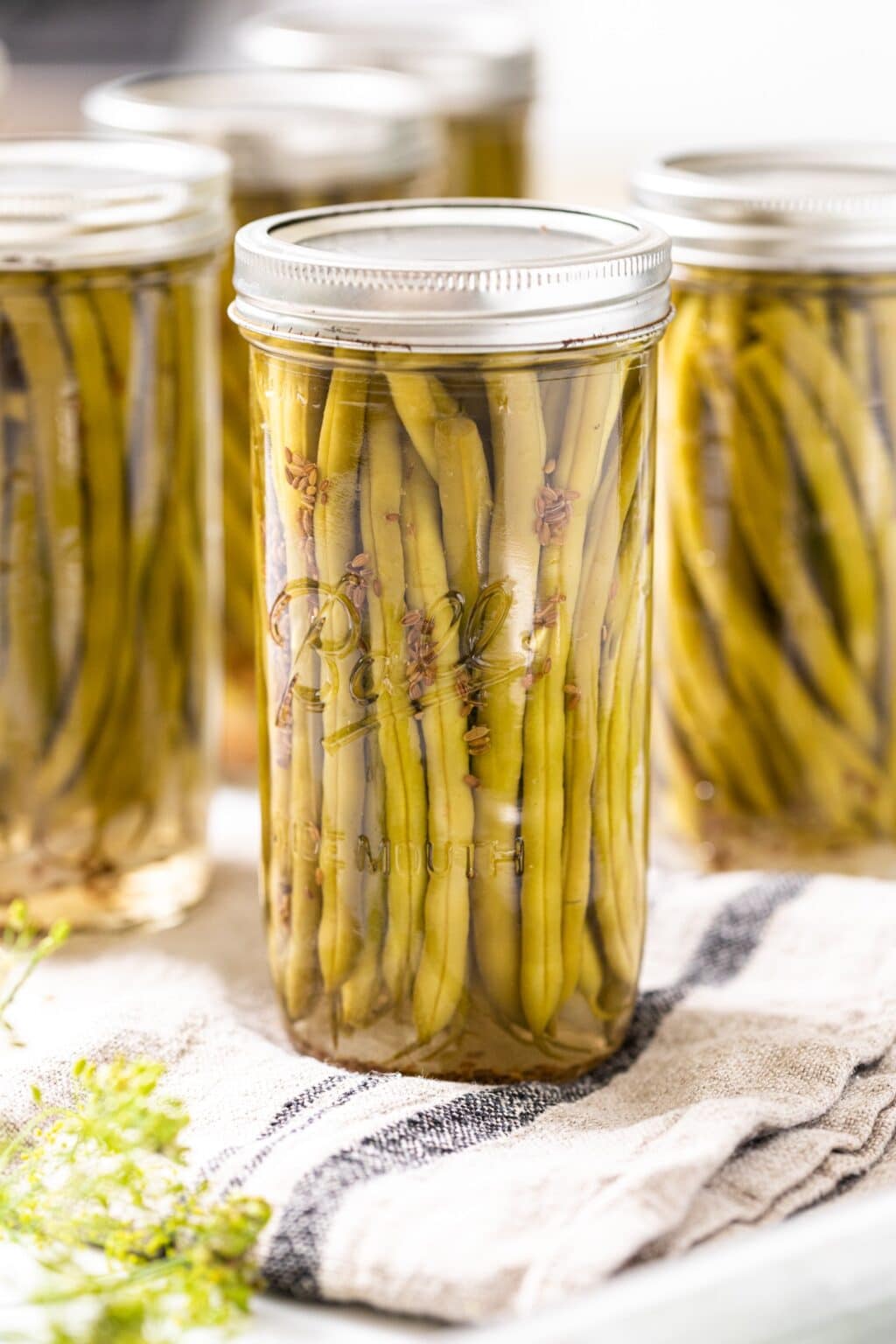 How to Can Dilly Beans Wyse Guide