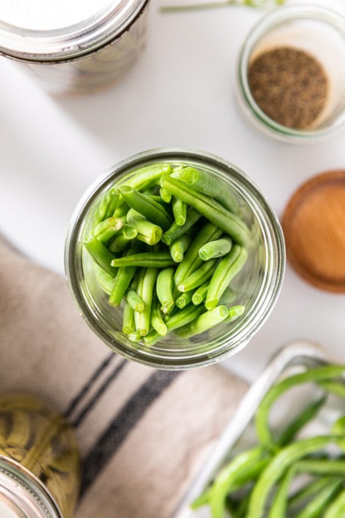 How to Can Dilly Beans Wyse Guide