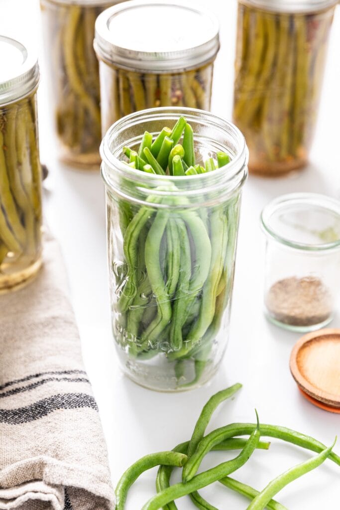 How to Can Dilly Beans Wyse Guide