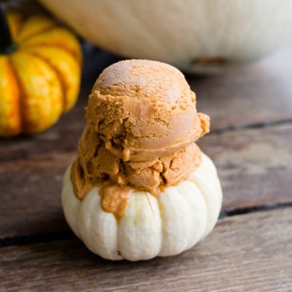 Frozen pumpkin custard scooped onto a small white pumpkin with yellow and white pumpkins in background on a wood surface