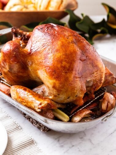Browned cooked turkey sitting on metal roasting pan after coming out of the oven with magnolia garland and wooden bowl filled with squash in background.