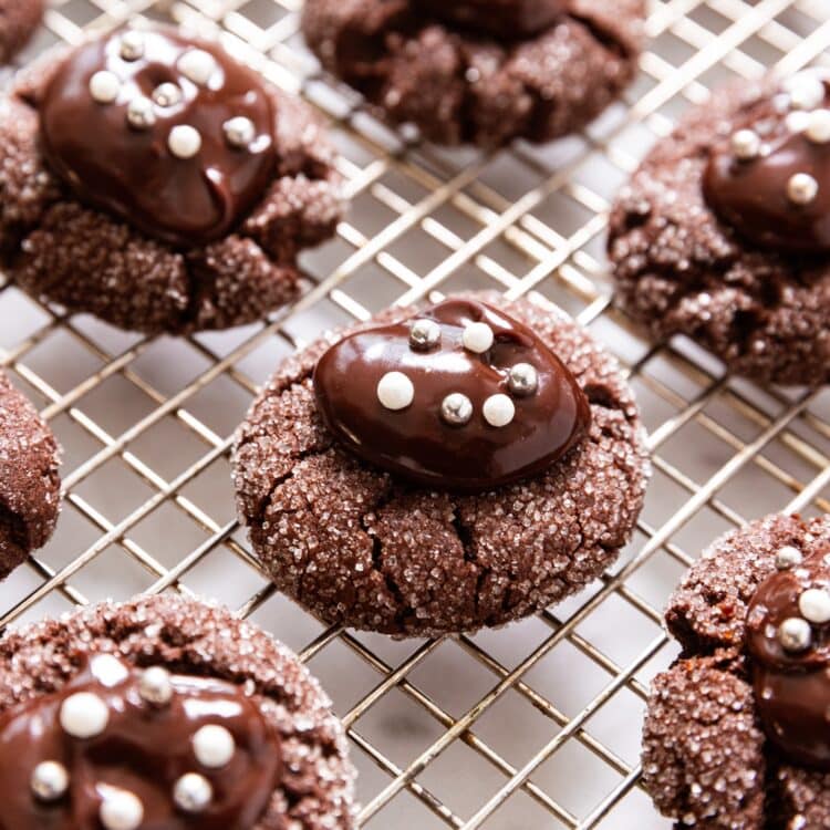 Chocolate Waffle Cookies Wyse Guide