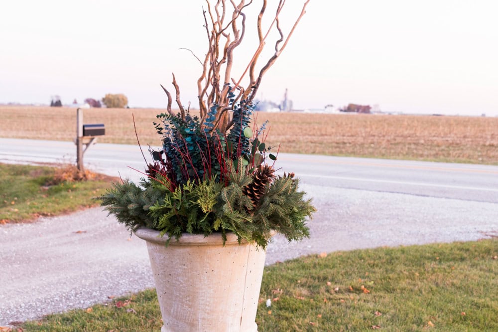 Concrete Christmas urn with greenery around the base with red twigs in the middle, eucalyptus along the top with large branches coming out of the top.