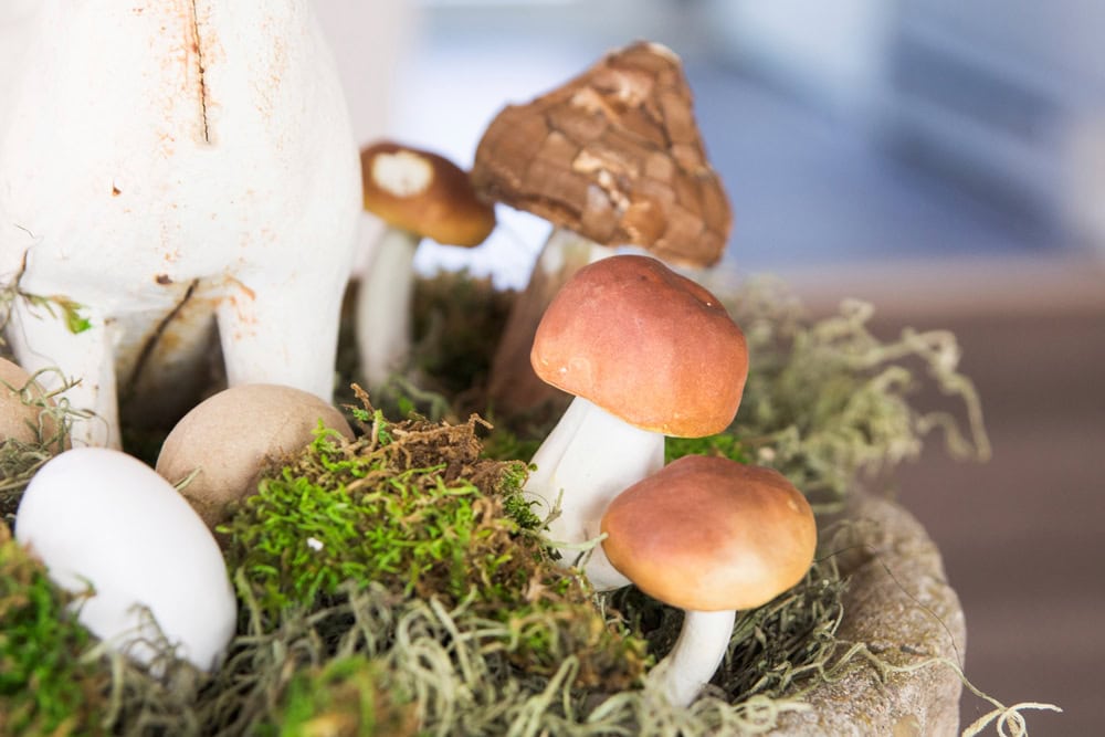 Brown colored mushrooms in a woodland theme with moss all around in a large concrete bowl for Easter display.