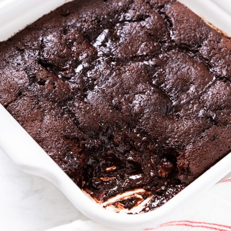 Chocolate Fudge Pudding Cake Wyse Guide