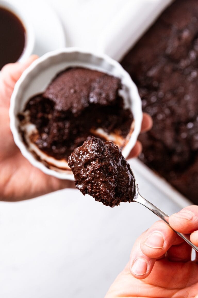 Chocolate Fudge Pudding Cake Wyse Guide