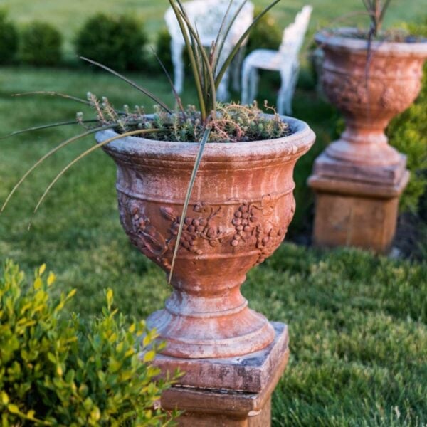 Terra cotta colored urns planted with agave with small plantings around the base sitting on grass in a yard with white furniture behind along with boxwoods.