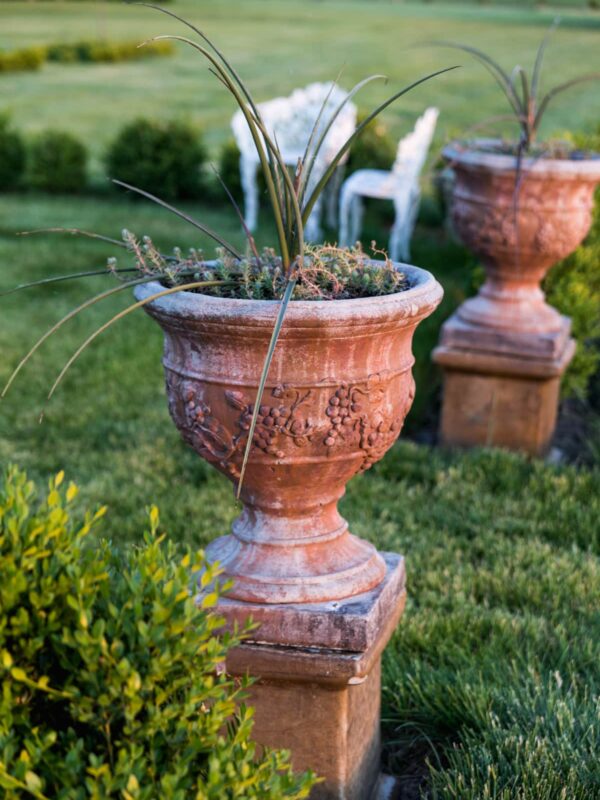Terra cotta colored urns planted with agave with small plantings around the base sitting on grass in a yard with white furniture behind along with boxwoods.