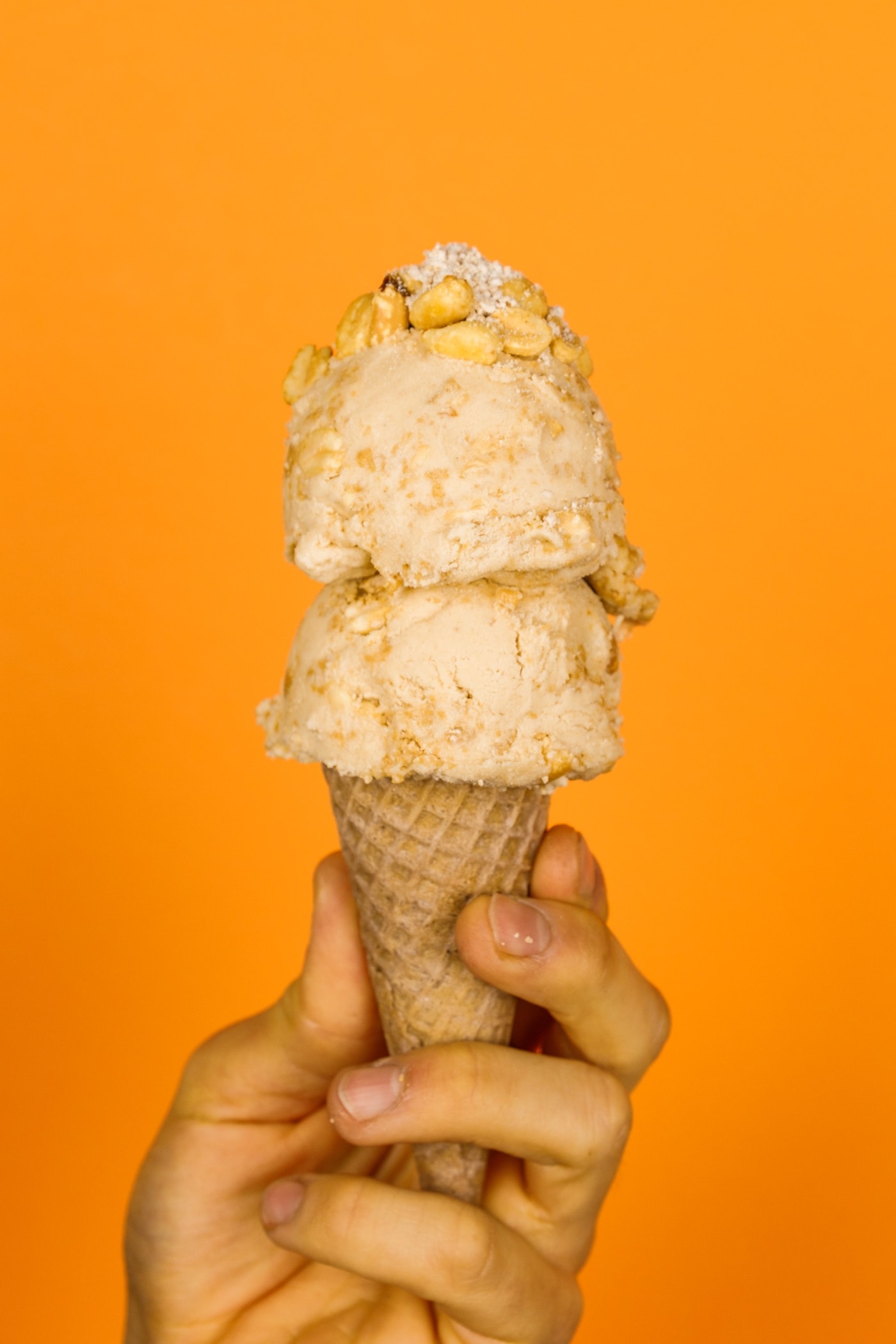 Peanut Butter Pie Ice Cream Wyse Guide