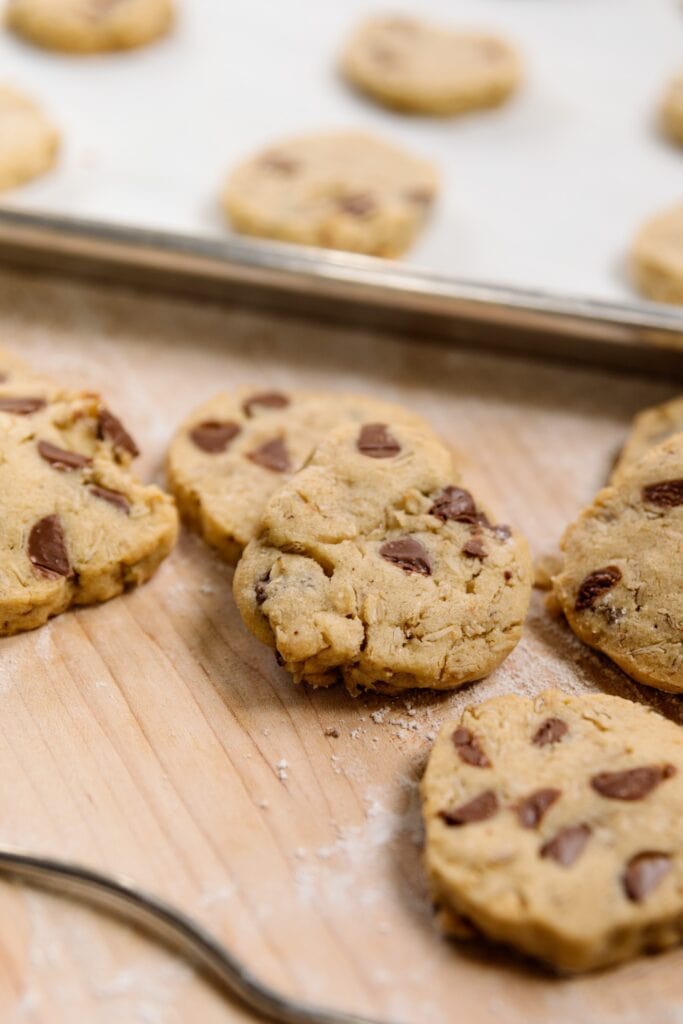 Chocolate Chip + Oatmeal Refrigerator Cookies Wyse Guide