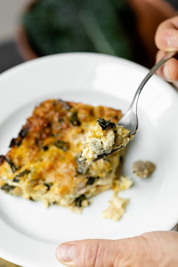 Squash Kale Lasagna Wyse Guide