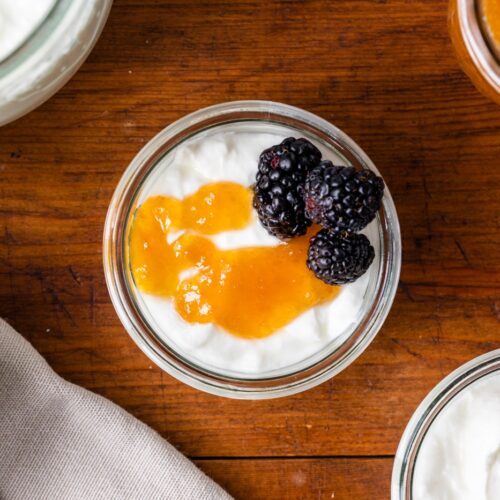 How to Make Homemade Yogurt Wyse Guide