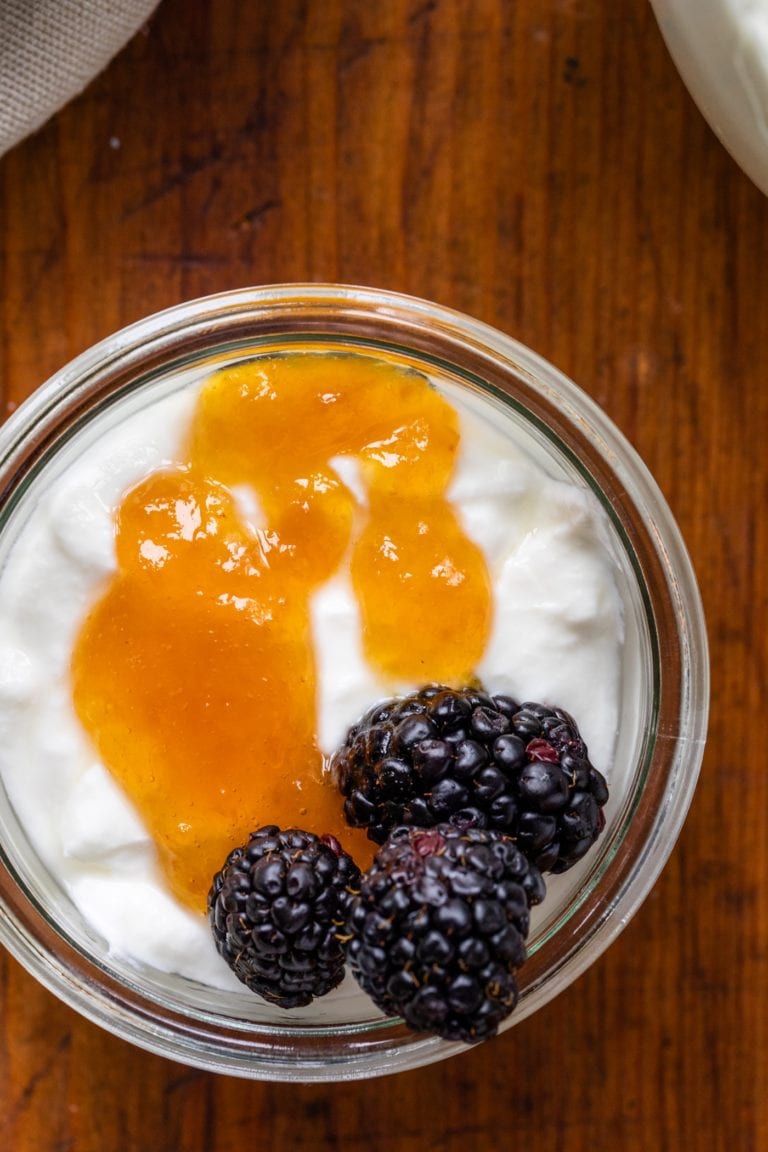 How to Make Homemade Yogurt Wyse Guide
