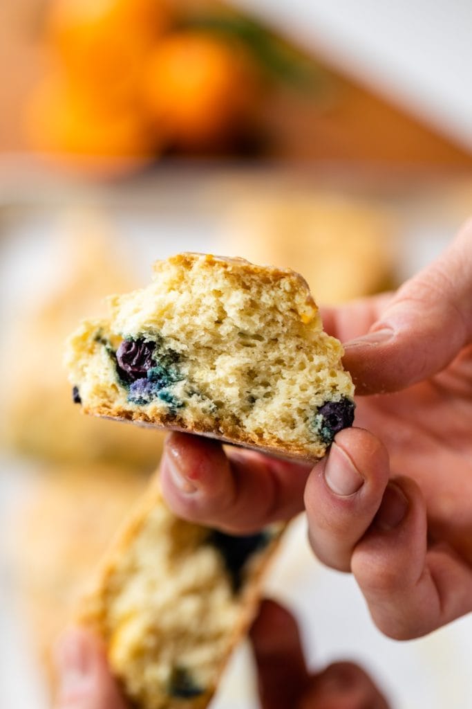 Hand holding scone broken in half to show blueberries inside with extra scones in background sitting on a tray lined with parchment paper