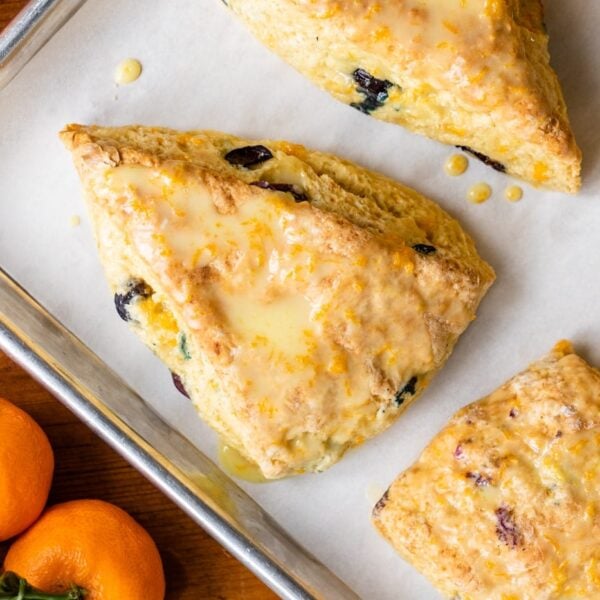 Top down view of glazed orange and blueberry scones sitting on baking sheet lined with parchment with small oranges all around on wood board