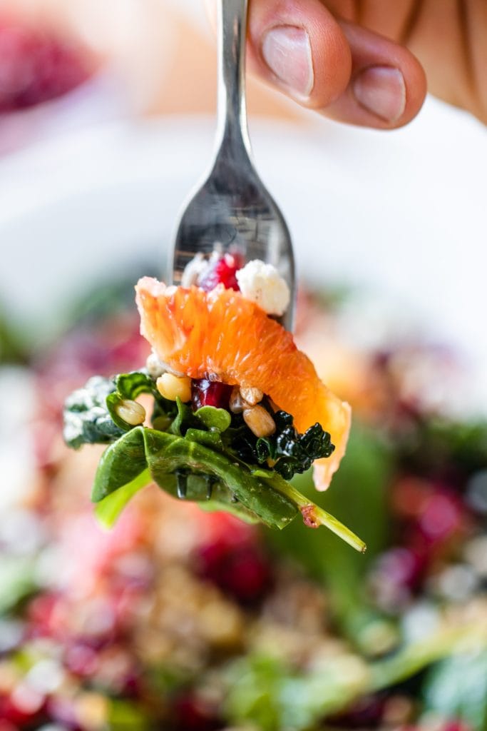 Fork holding pieces of blood orange and wheat berry salad with greens in background