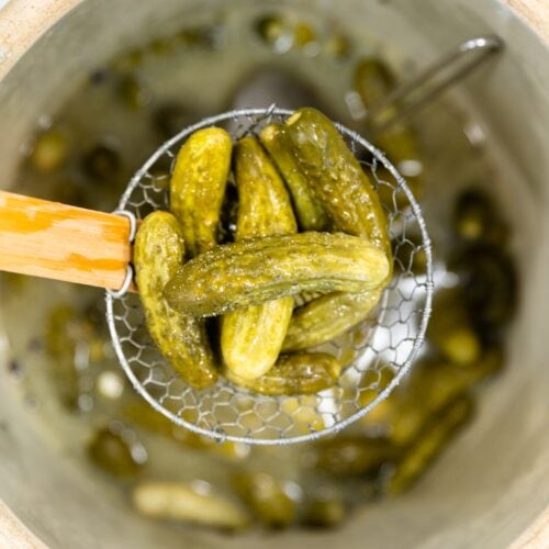 How to Make Mustard Pickles Wyse Guide