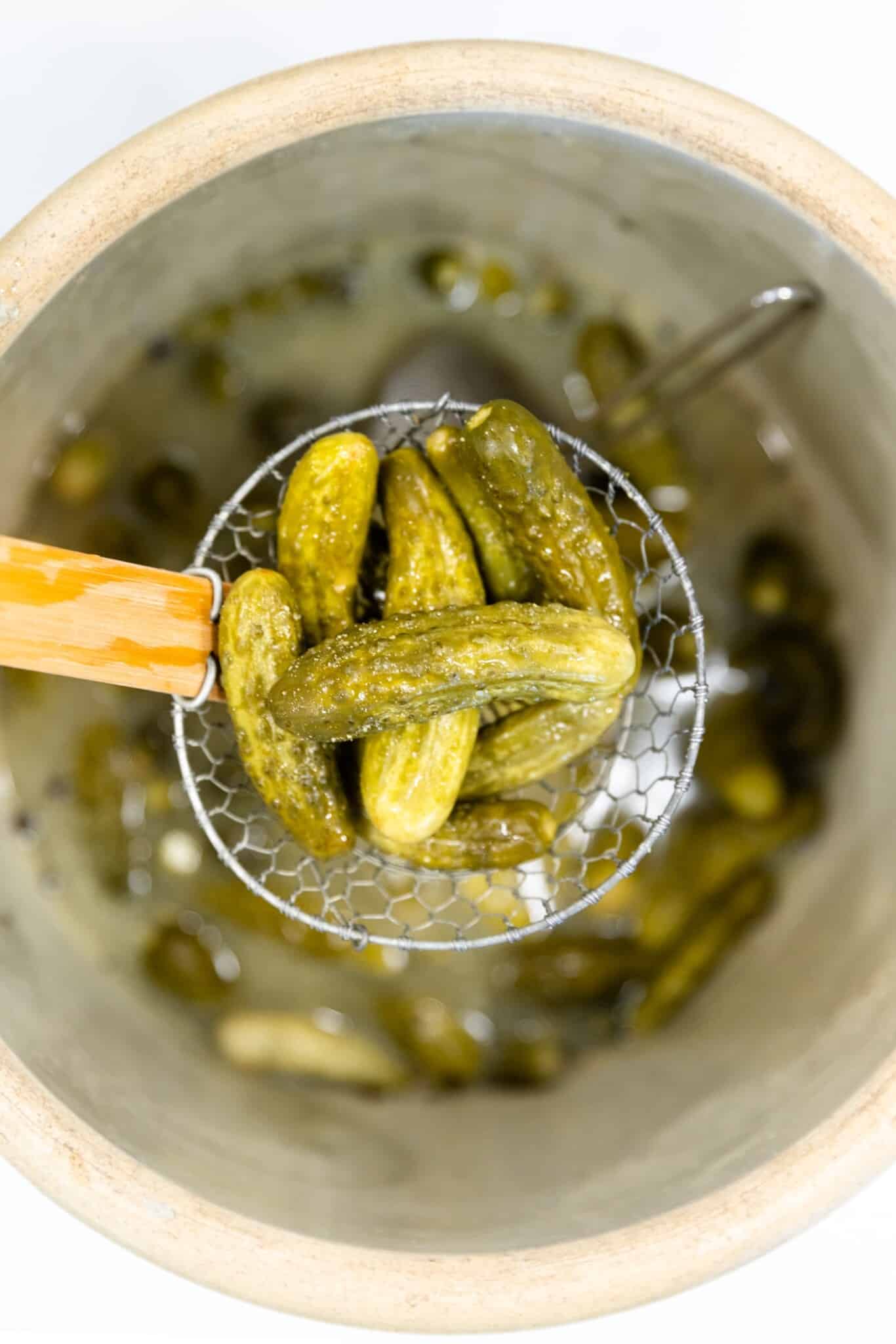 How to Make Mustard Pickles Wyse Guide