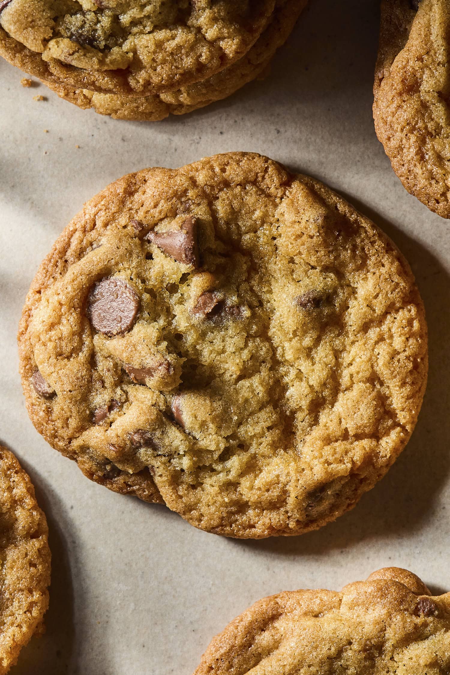 Close up of texture of a chocolate chip cookie with more all around.