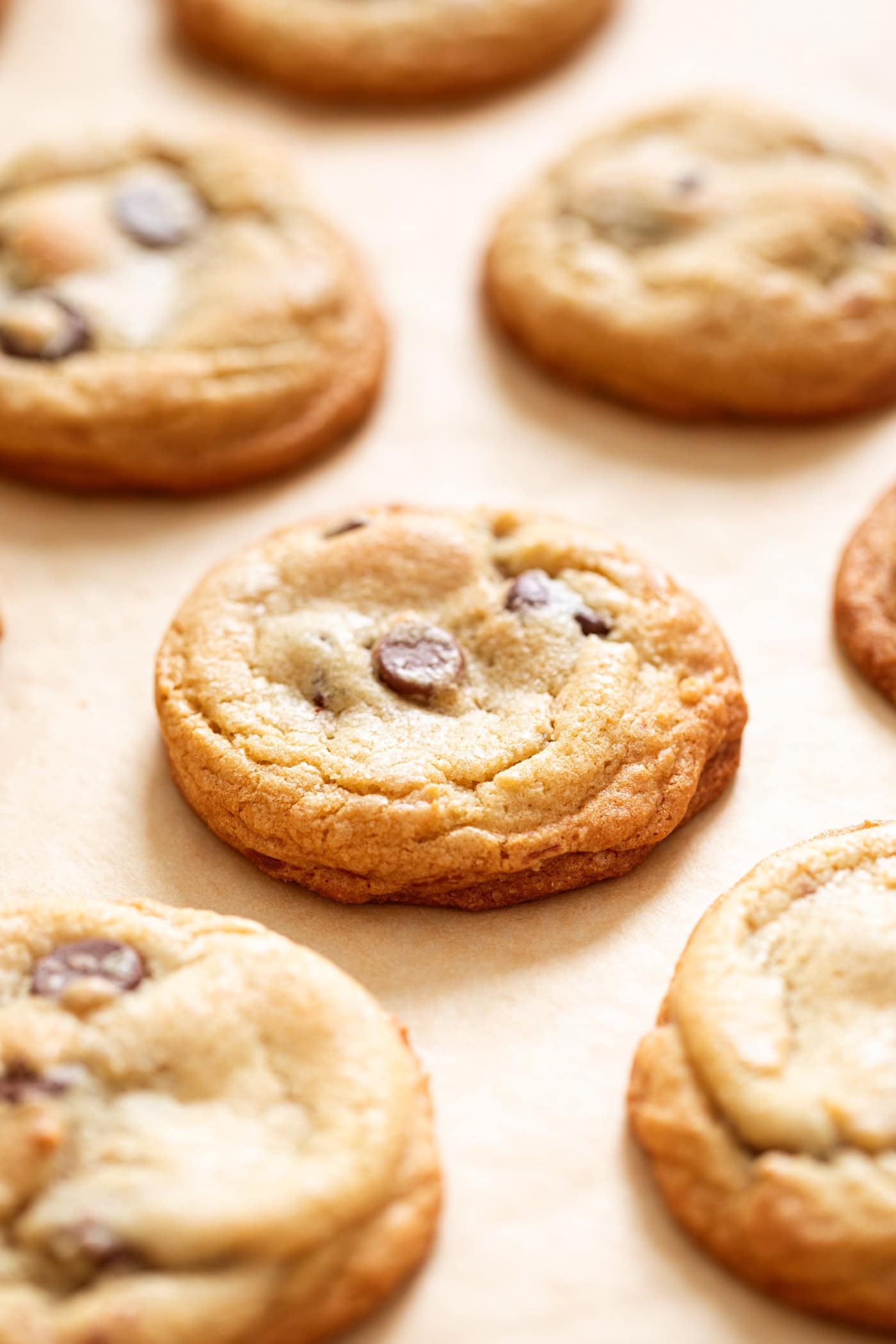 Ultimate Chocolate Chip Cookies Recipe - Wyse Guide