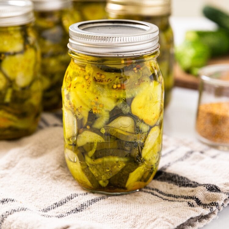 How to Can Bread and Butter Pickles Wyse Guide