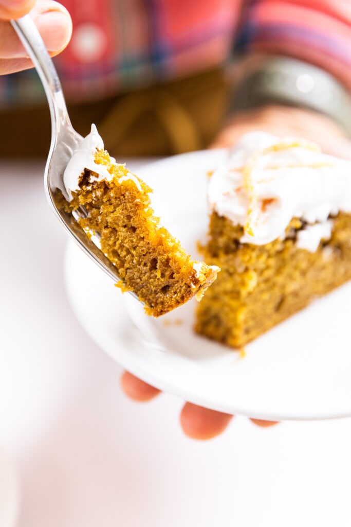 Pumpkin Applesauce Cake Wyse Guide