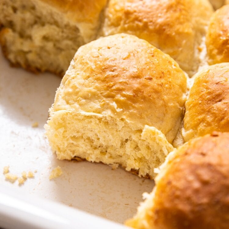 Honey Oat Dinner Rolls Wyse Guide
