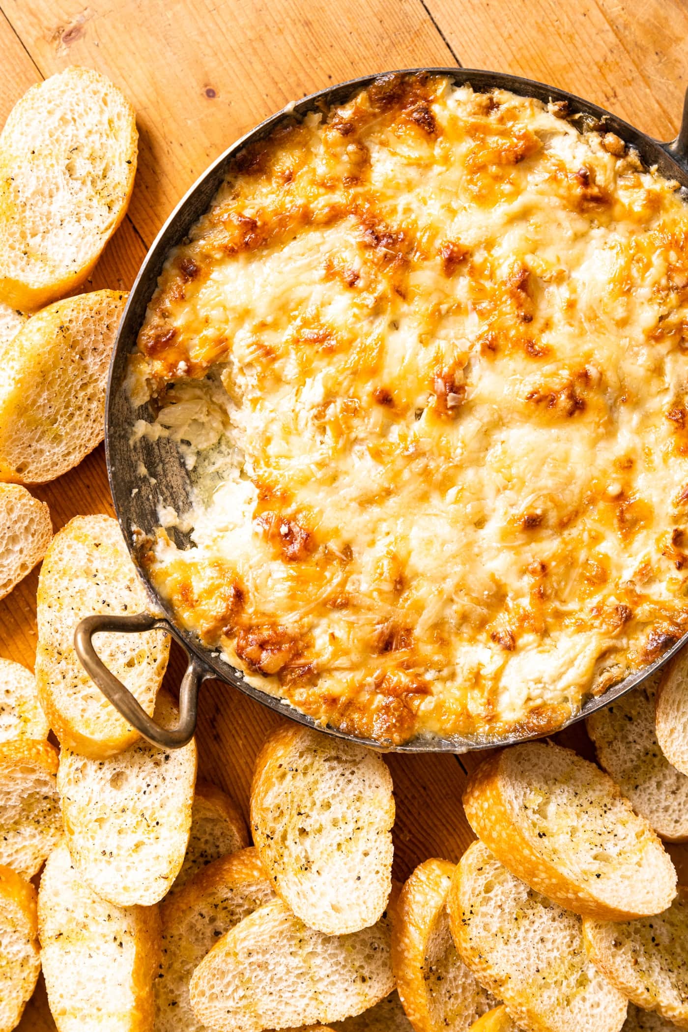 French Onion Cheese Dip Wyse Guide
