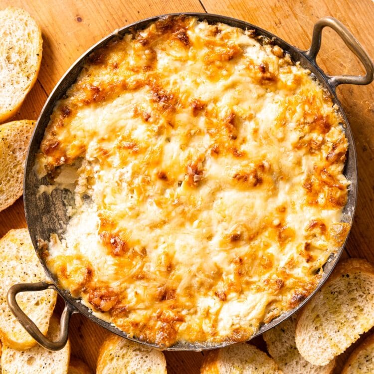 French Onion Cheese Dip Wyse Guide