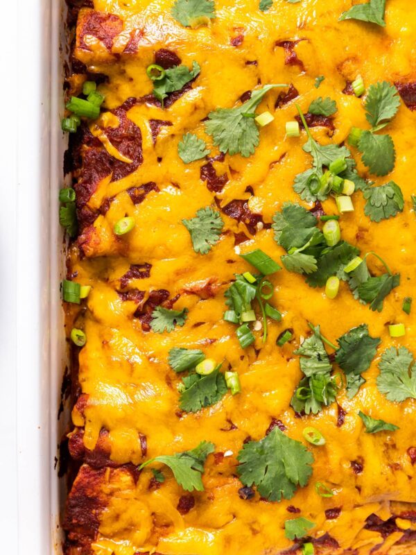 Top down view of white pan filled with chicken enchiladas topped with cheese and cilantro