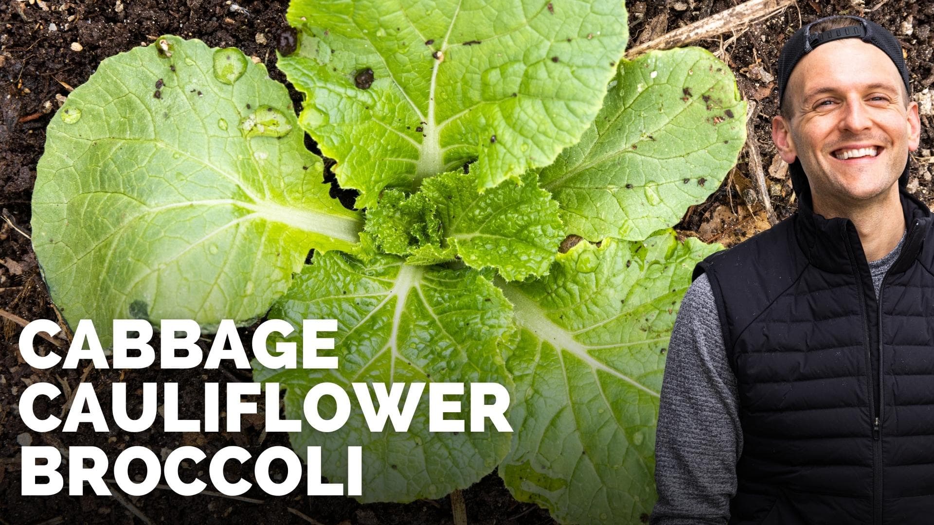 Gardening Wyse Guide