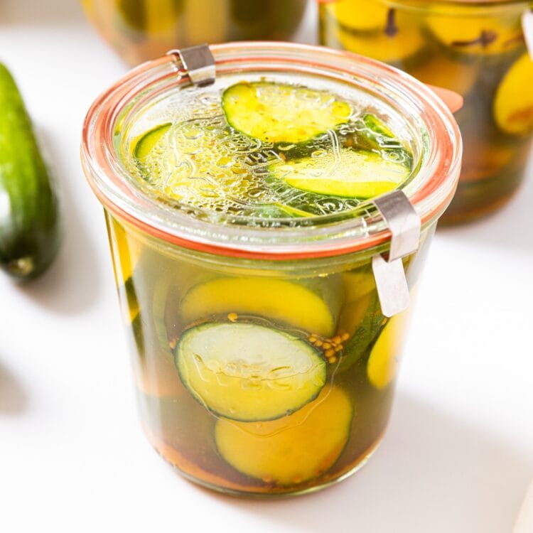 How to Can Bread and Butter Pickles Wyse Guide