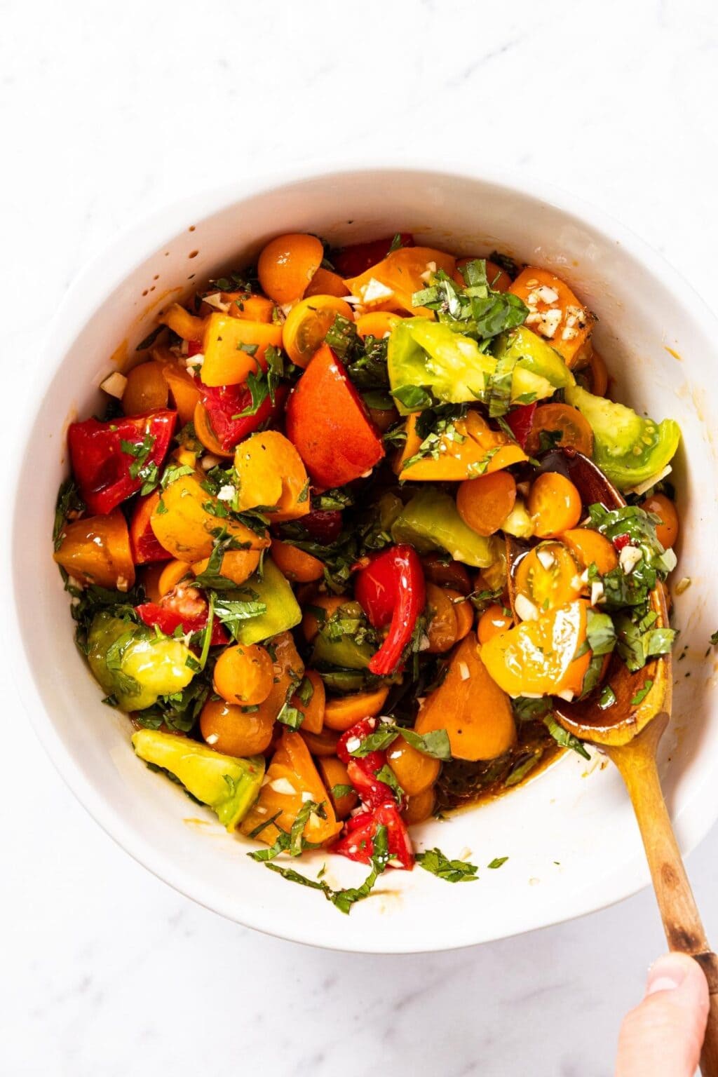 Fresh Tomato Herb Pasta - Wyse Guide