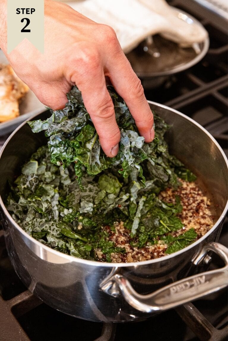 Apple Cider Quinoa Kale Salad Wyse Guide