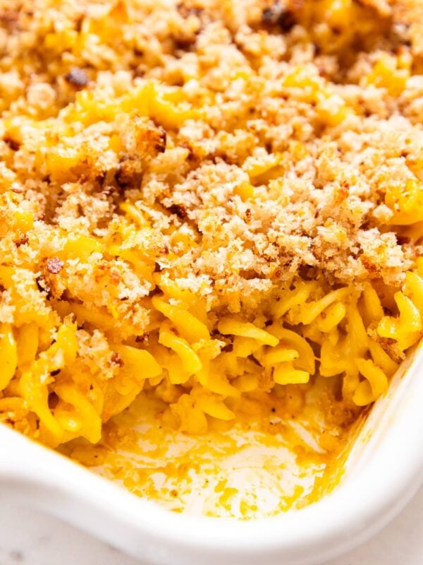 White baking dish filled with baked pasta drenched in yellow sauce with crispy breadcrumbs all over the top.