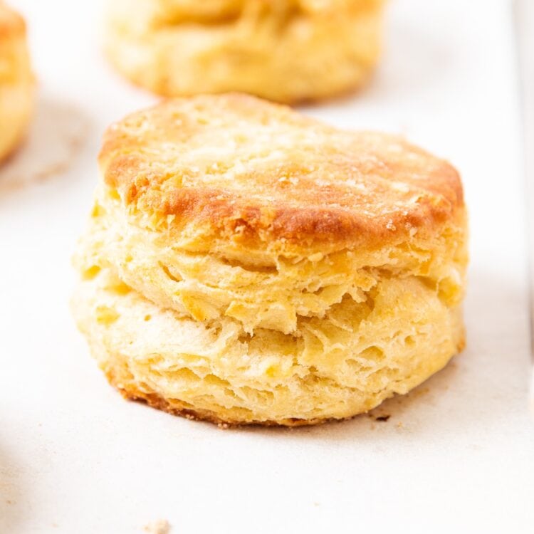 Honey Oat Dinner Rolls Wyse Guide